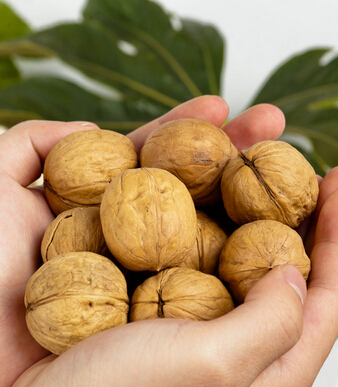 止咳化痰食疗菜谱宝宝偏方大全__止咳化痰的宝宝食谱