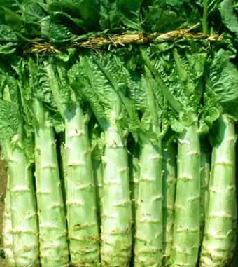 深秋饮食需微调？秋季养生饮食常识你知道多少