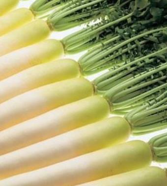 秋季饮食小常识_秋季饮食要诀_